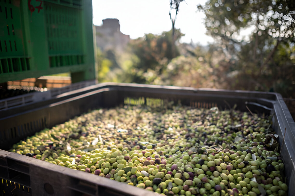 Kalite Kontrol Görseli